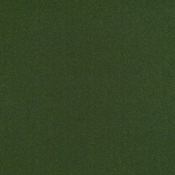 Cult Classic - Emerald City - 1031 - 11 - Half Yard