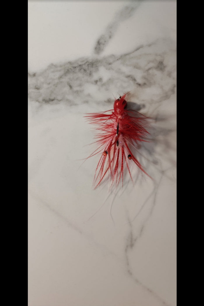 Disco Red/Shrimp #2