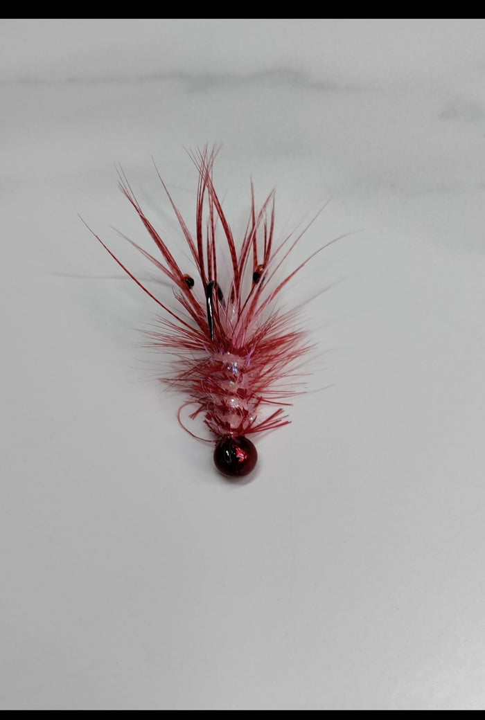 Disco Red/Shrimp