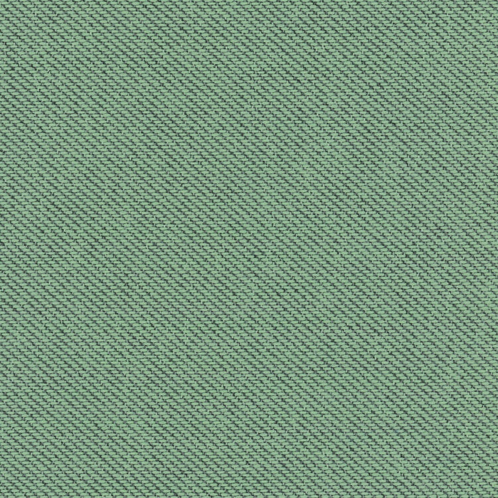 Ecotone - Lichen - 4092 - 14