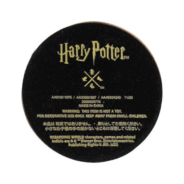 Hogwarts Crest Sorting Hat Paperweight