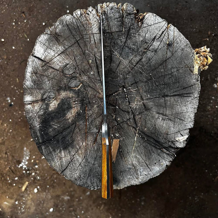 Knife with lignum vitae handle
