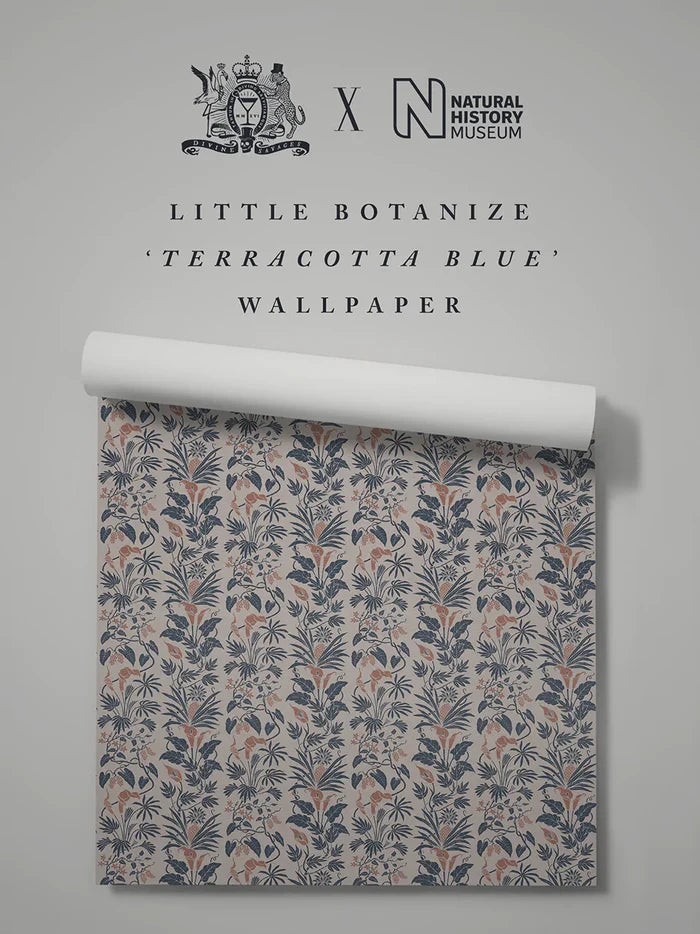 Terracotta Blue