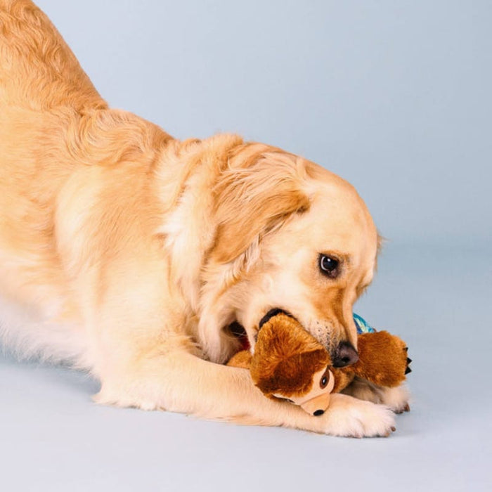 Petshop by Fringe Studio dog toys Makin' Waves Summer Beach Surf Sloth Plush Squeaky Dog Toy