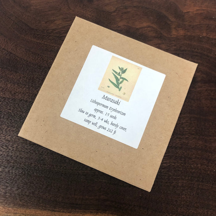 Packed for 2026 - Murasaki - Seeds - Japanese Gromwell
