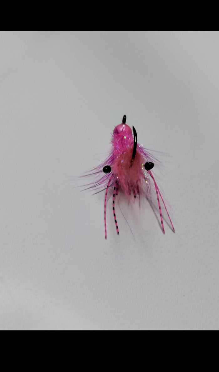 Pink Pearl / Shrimp #3