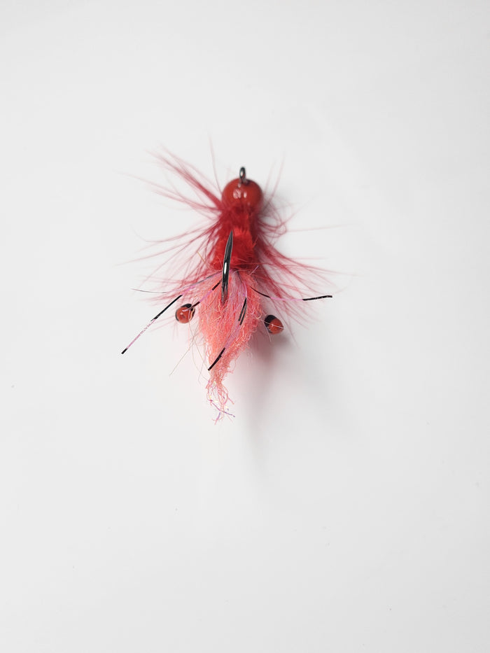 Red Shrimp