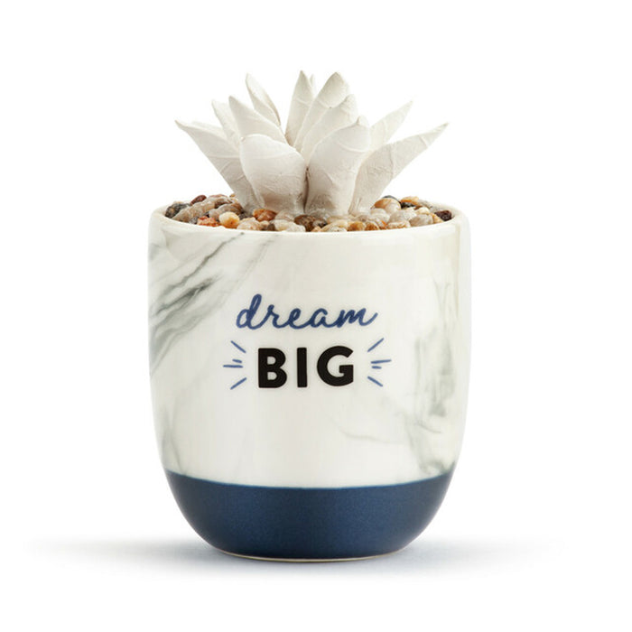 Succulent Oil Diffuser -