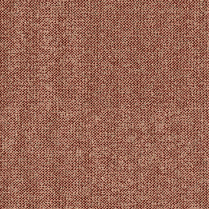 Texture Map - Coralline - 2004 - 07