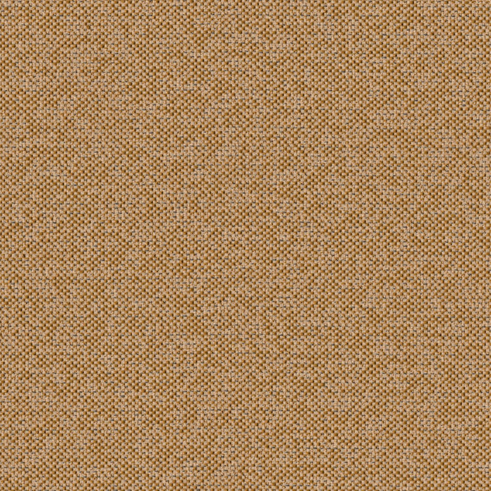 Texture Map - Holocene - 2004 - 06