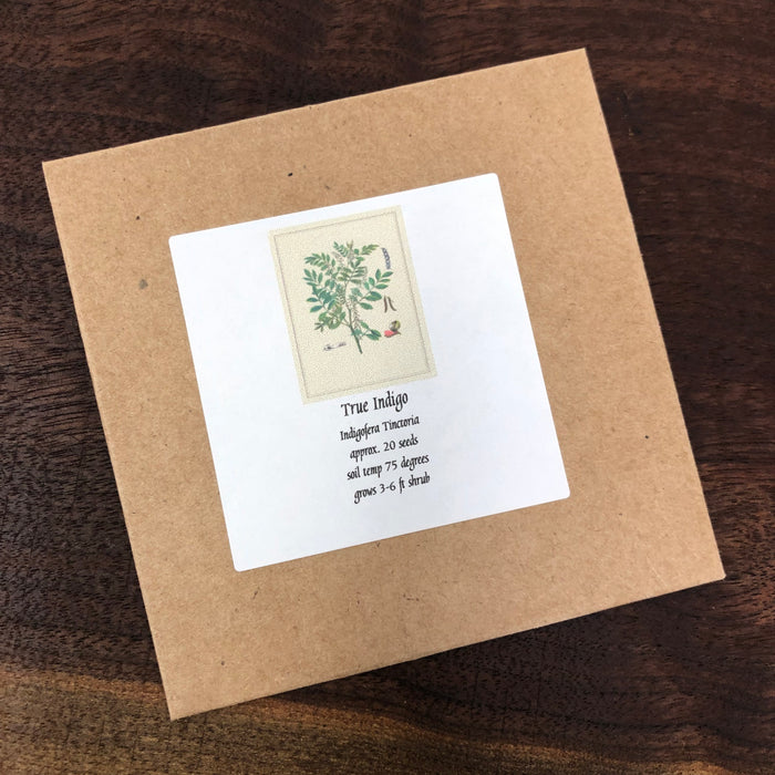 2026 seed - True Indigo - Seeds -  Indigofera Tinctoria