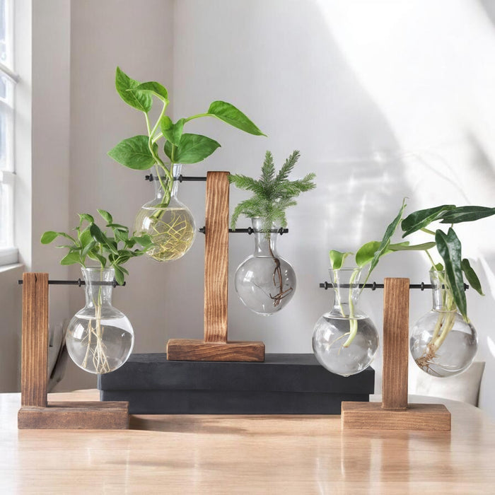 Aeris Home – Botanist Propagation Vase