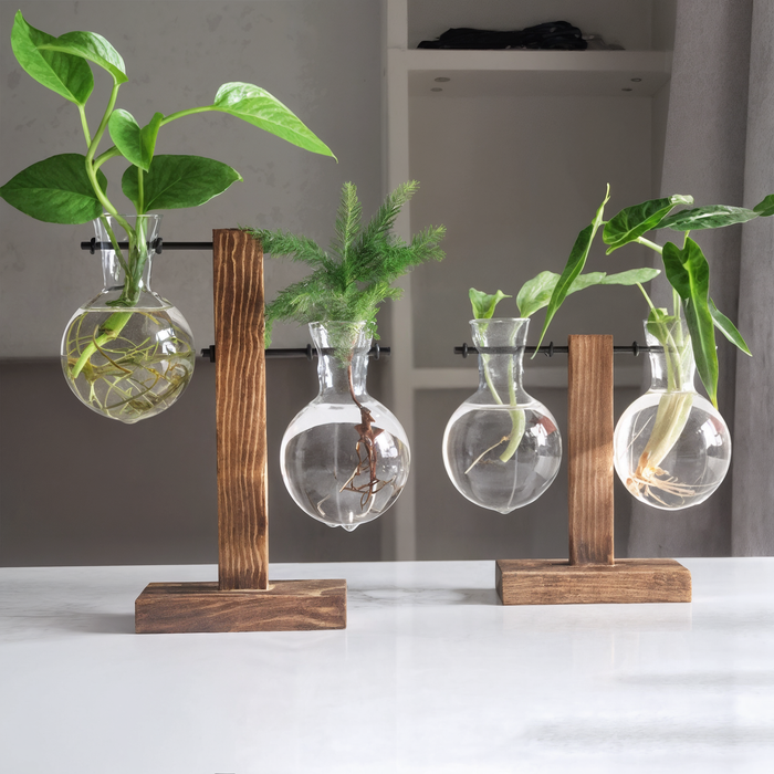 Aeris Home – Botanist Propagation Vase