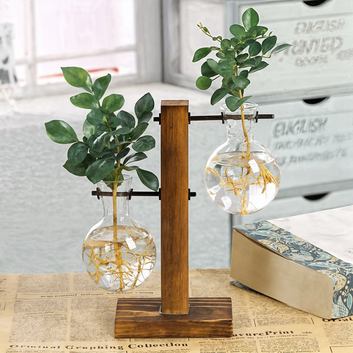 Aeris Home – Botanist Propagation Vase