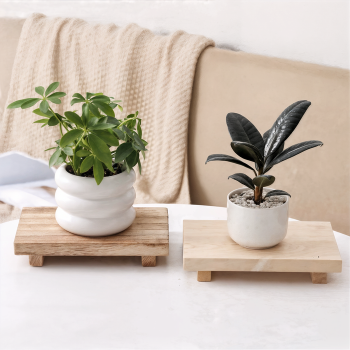 Aeris Home – Socle Wood Tray