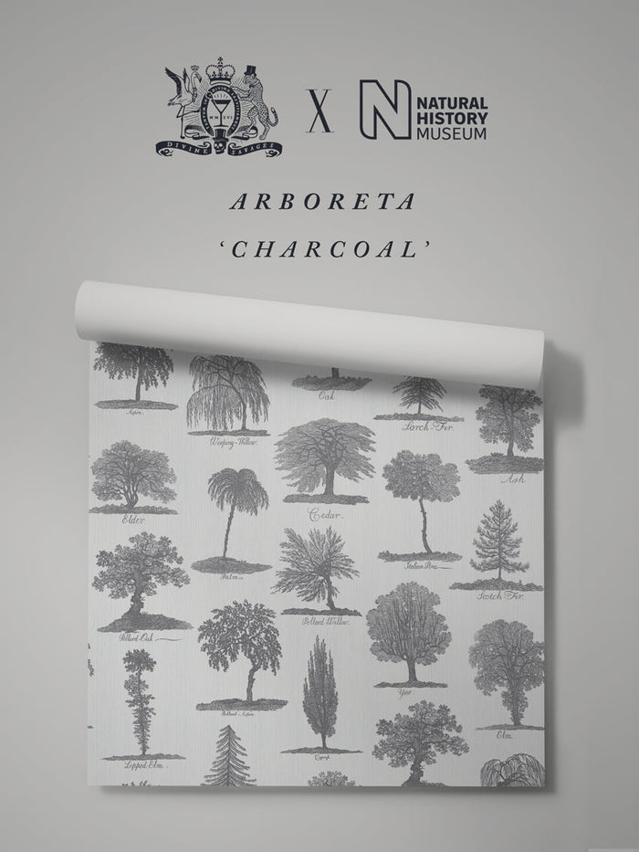 Arboreta Charcoal