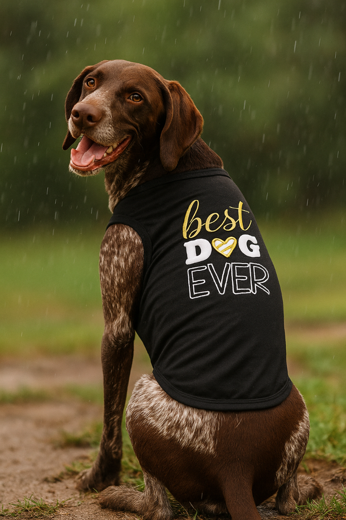 "Best Dog Ever" Black & Gold Embroidered Dog Tee