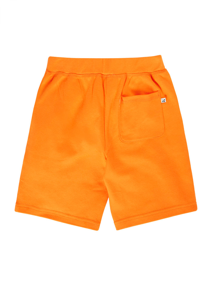 Birch Shorts