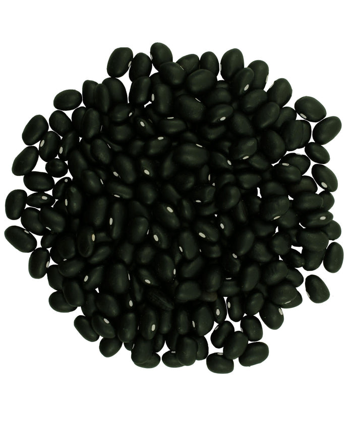 Close-up pile of black beans on a white background
