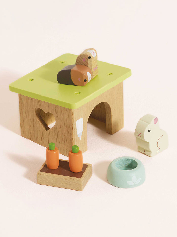 Bunny & Guinea Pet Animal Set
