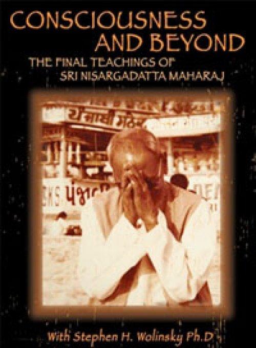 Consciousness and Beyond