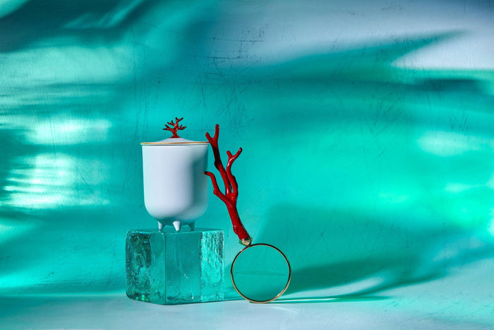 Coral Magnifying Glass - L'OBJET