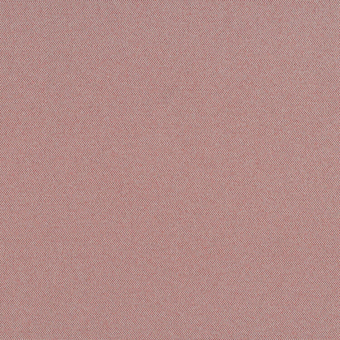 Cult Classic - Pink Flamingos - 1031 - 07 - Half Yard