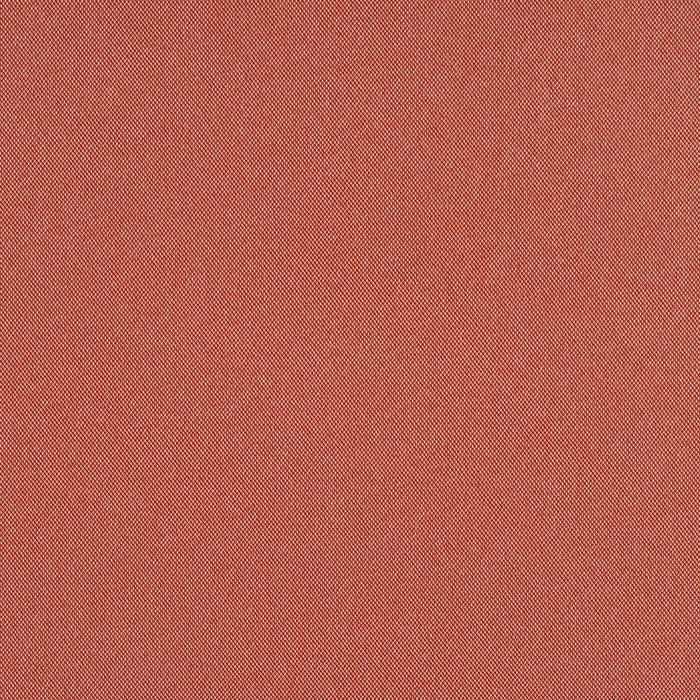 Cult Classic - Ziggy Stardust - 1031 - 06 - Half Yard