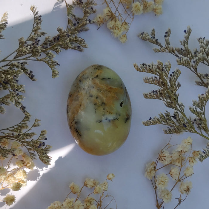 Dendritic Opal Palm Stone (#25)