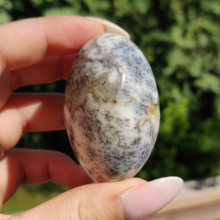 Dendritic Opal Palm Stone (#28)
