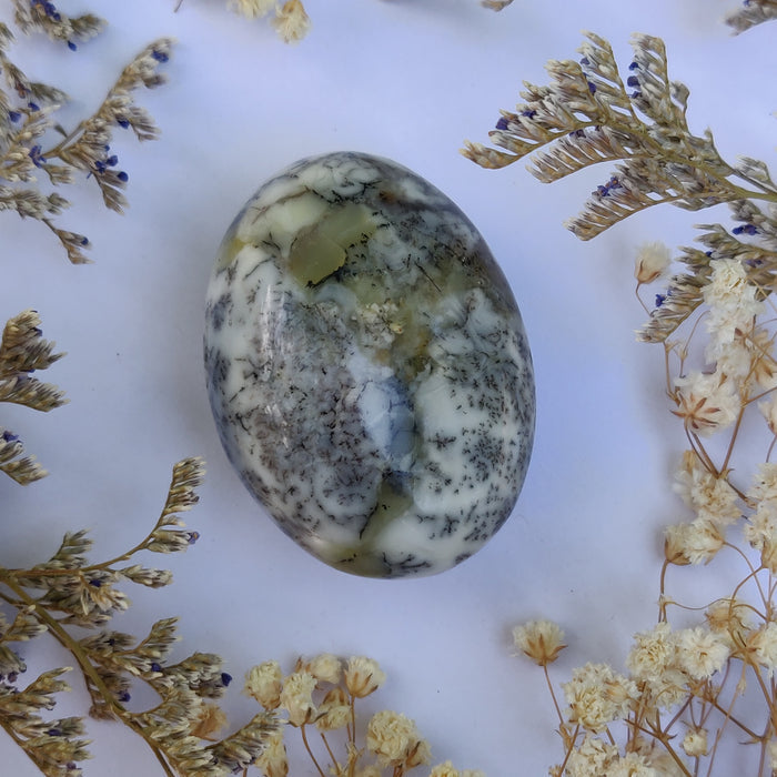 Dendritic Opal Palm Stone (#28)