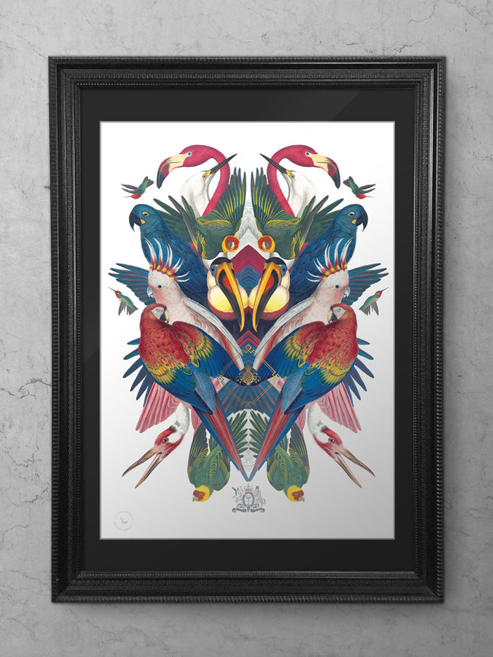 Divine Birds Limited Edition Print
