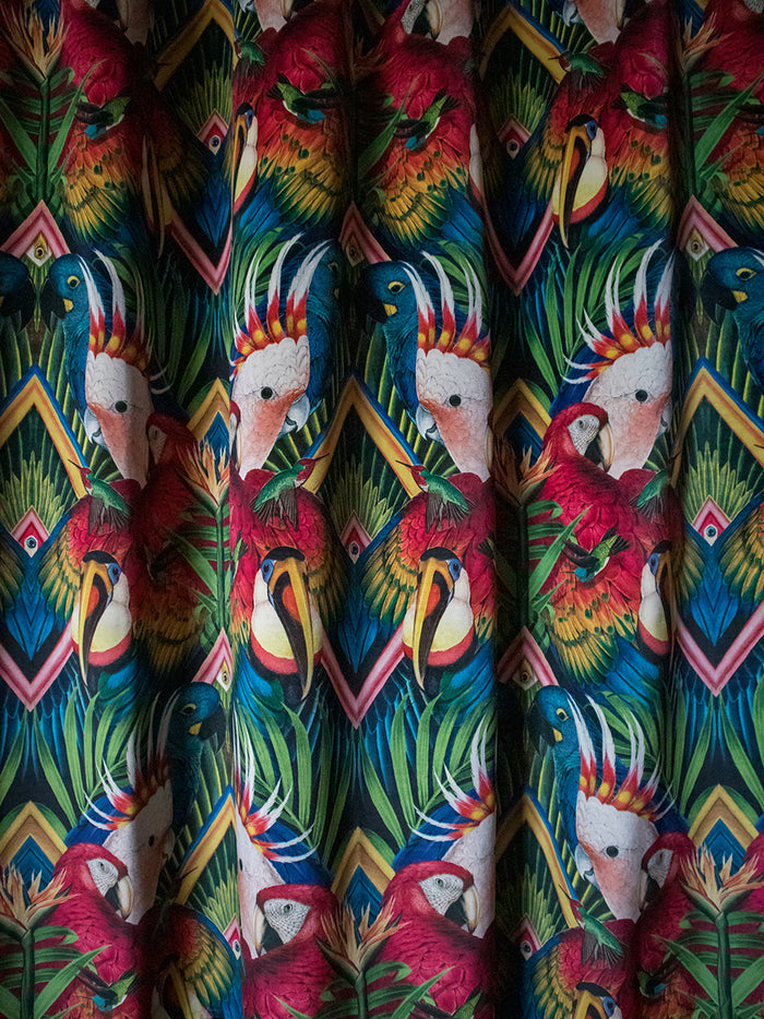 Divine Plumage 'Fiesta' Recycled Velvet Sample