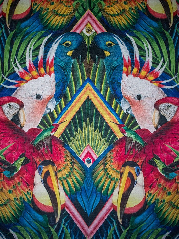 Divine Plumage 'Fiesta' Recycled Velvet Sample
