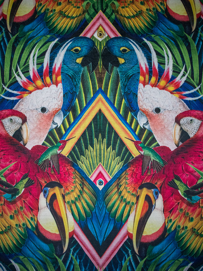 Divine Plumage 'Fiesta' Recycled Velvet