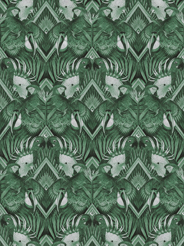 Divine Plumage Wallpaper Sample