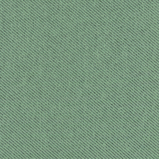 Ecotone - Lichen - 4092 - 14
