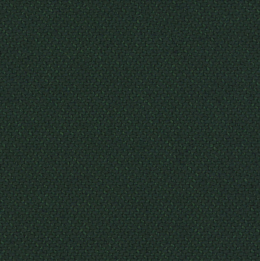 Ecotone - Treeline - 4092 - 16