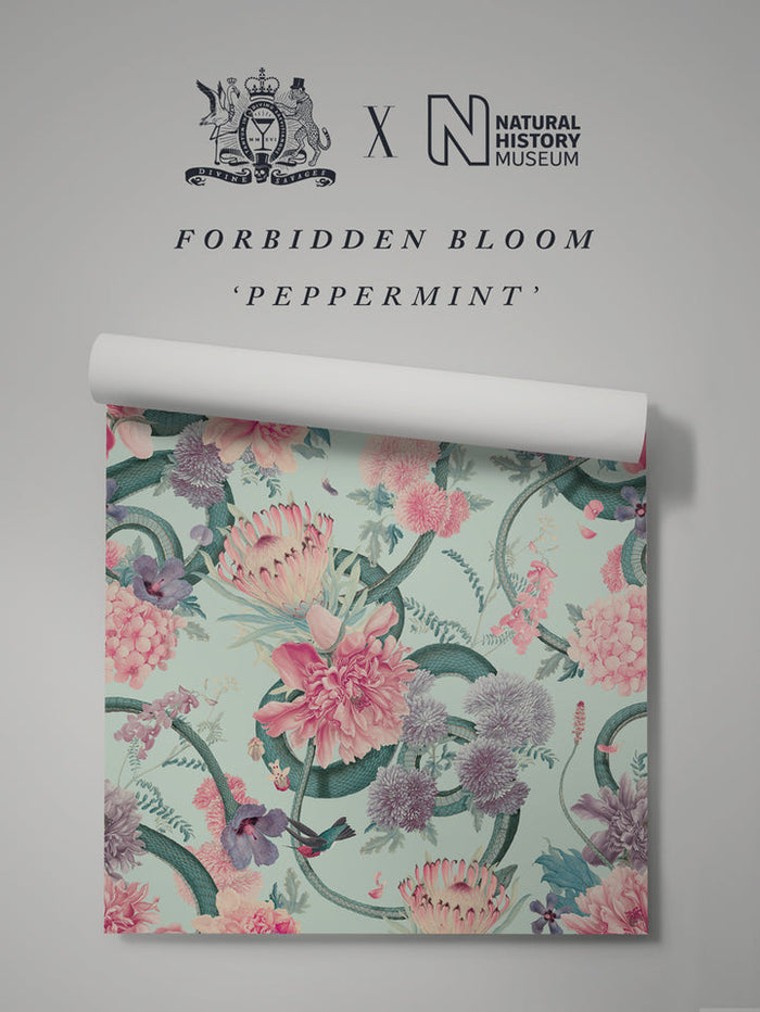 Peppermint