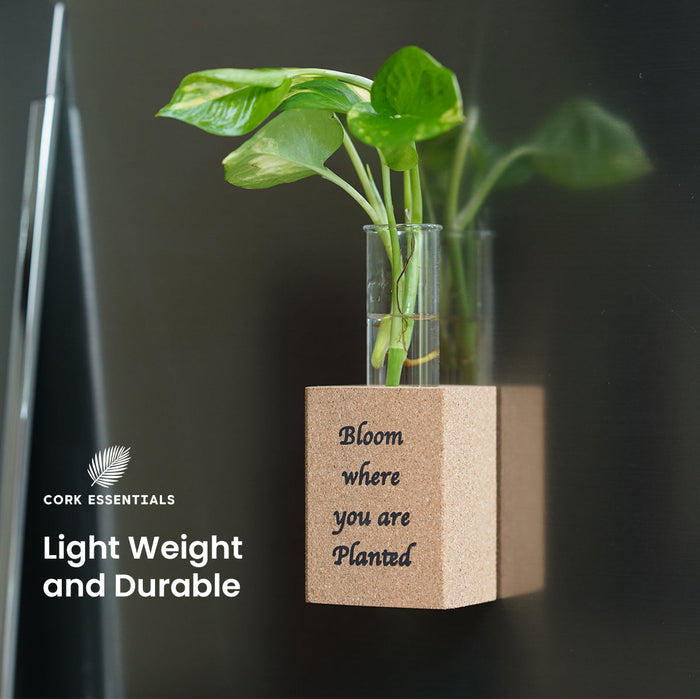 Clear glass vase with plant and cork block with text on a dark background, featuring Cork Essentials branding.