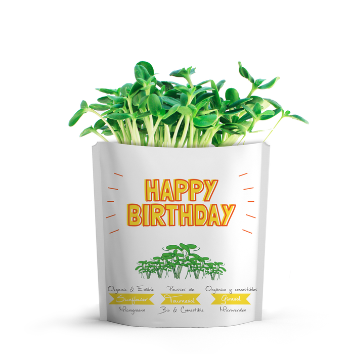 Birthday