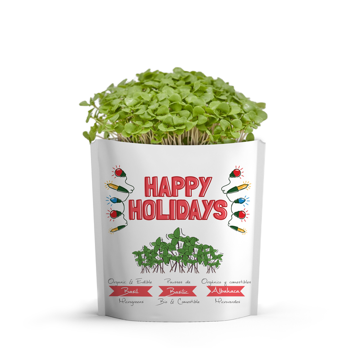 holidays