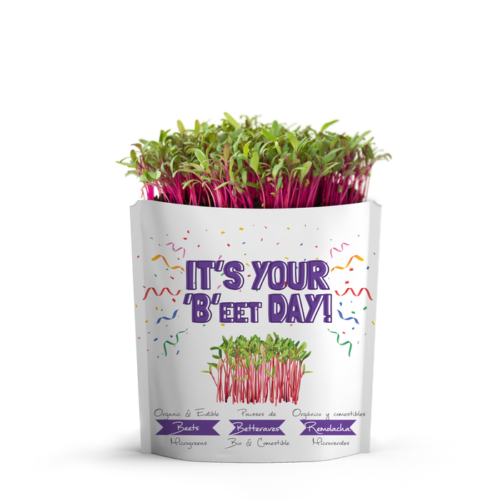 Beet Day
