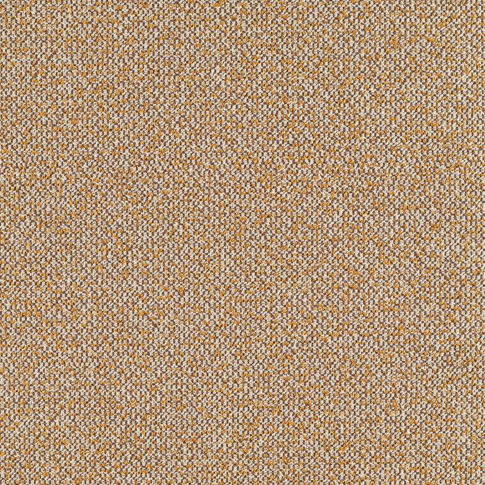 Haptic - Arroyo - 4093 - 08