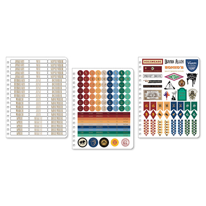 Harry Potter: Magical Places 12-Month Undated Planner