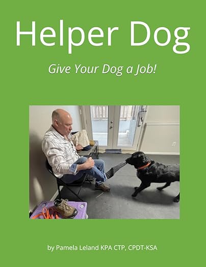 Helper Dog by Pamela Leland