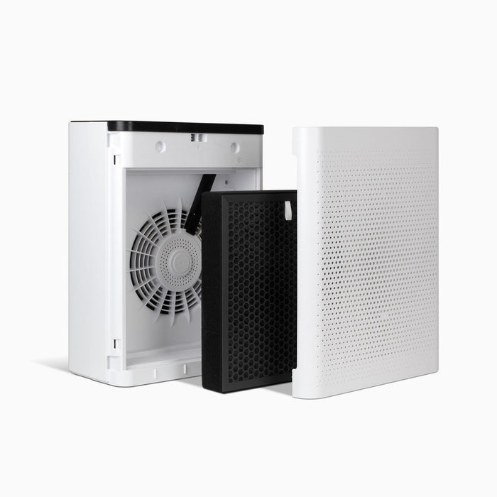Aluratek HEPA Air Purifier for Mid-Sized Rooms filter