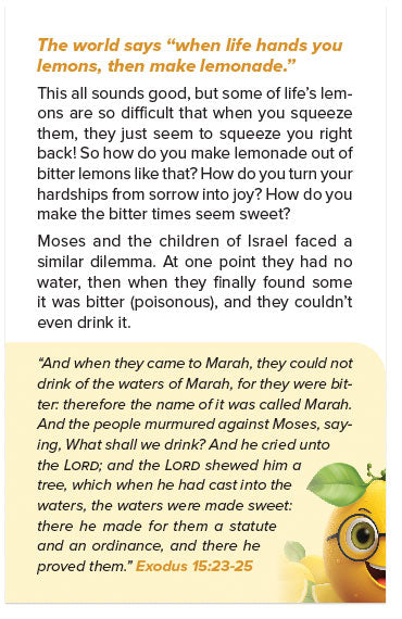 How Do I Make Lemonade From Lemons Like This?