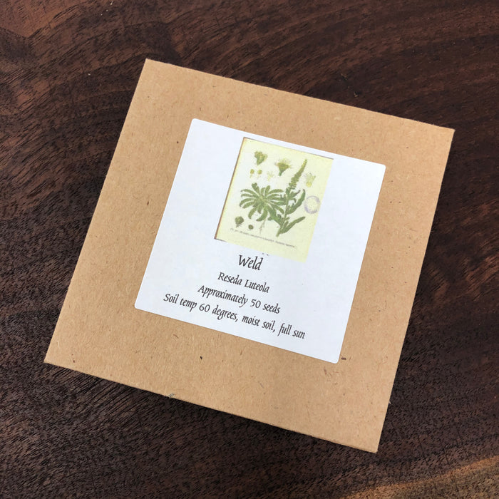 Weld 2025 stock- Seeds - Reseda Luteola