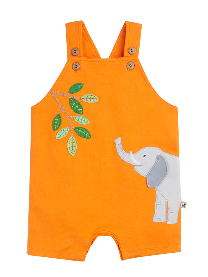 Lelant Dungaree